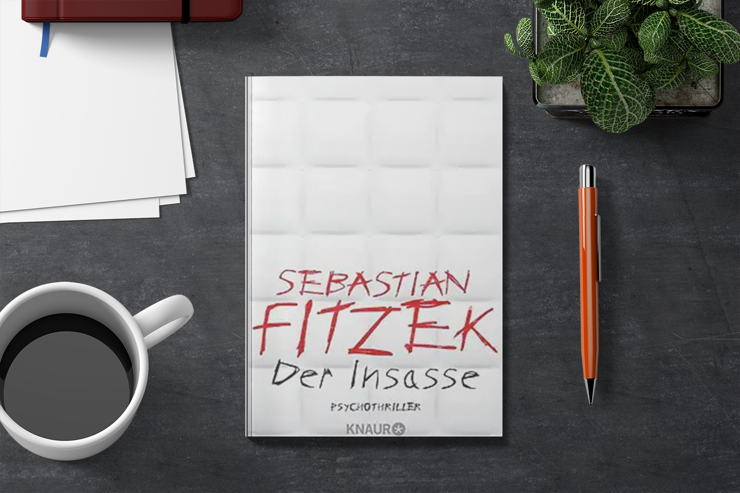 You are currently viewing Eine Analyse des Bestsellers „Der Insasse“ von Sebastian Fitzek